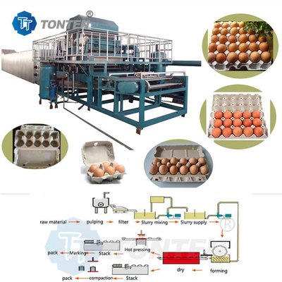 Máy chế tạo đĩa trứng giấy bột giấy tái chế máy tạo giấy