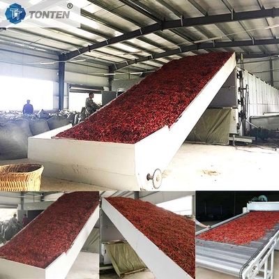 Chili Chrysanthemum Cassava Drying Belt Conveyor Máy sấy