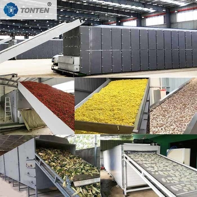 Chili Chrysanthemum Cassava Drying Belt Conveyor Máy sấy