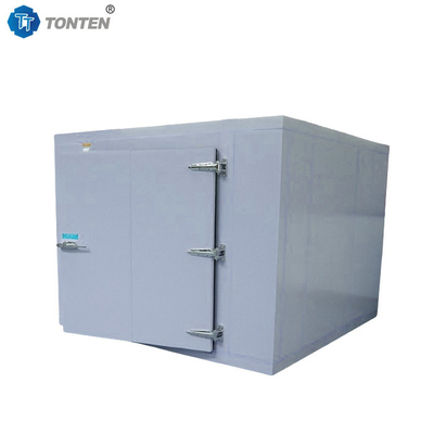 Tủ lạnh Trái cây hải sản Blast phòng lạnh Tủ lạnh 20ft 40ft