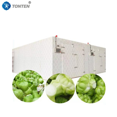 Tonten Máy sấy bùn hiệu quả và đáng tin cậy để xử lý dung nhựa mỏ
